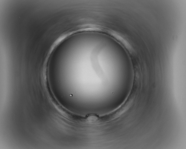 X0000114501375200910191242