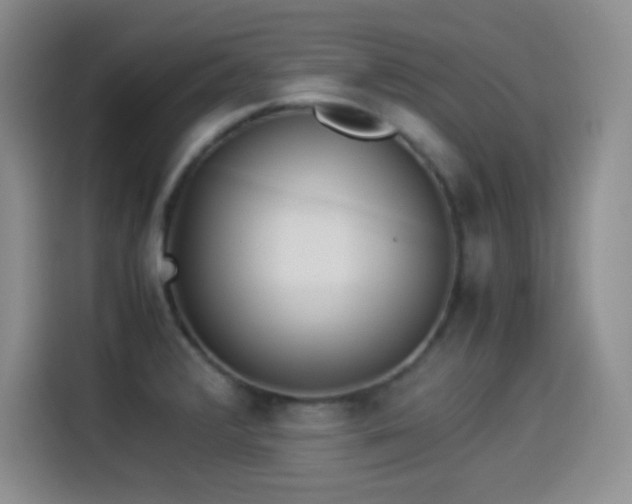X0000114501376200910191242