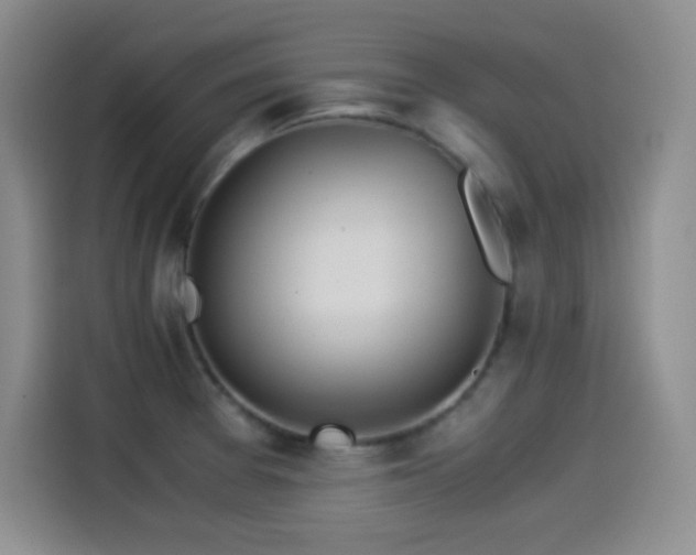 X0000114501377200910191242