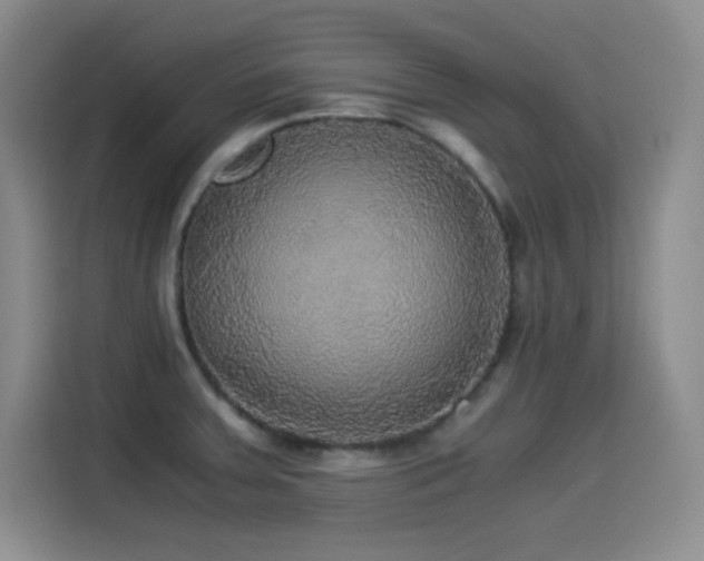 X0000114501379200910191242