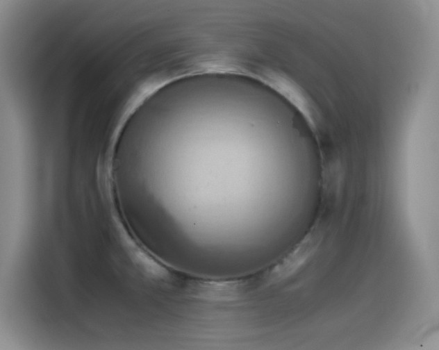 X0000114501381200910191242