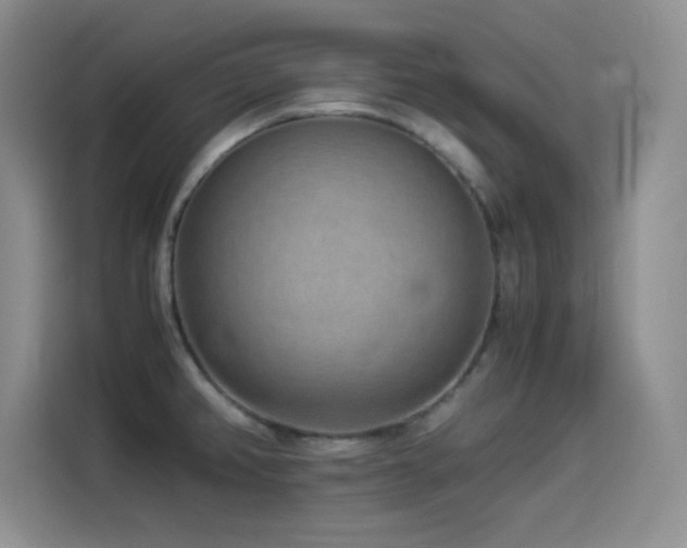 X0000114501382200910191242