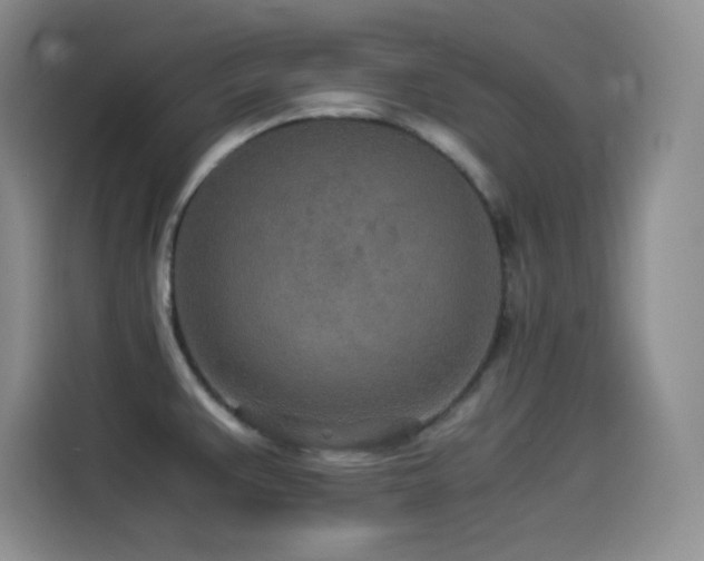 X0000114501383200910191242
