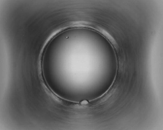 X0000114501384200910191242