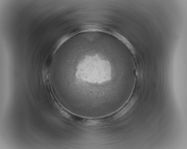 X0000114501385200910191242