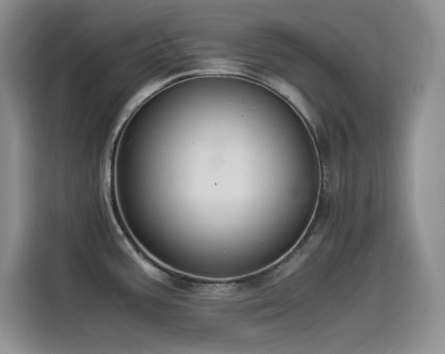 X0000114501387200910191242