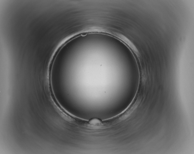 X0000114501388200910191242
