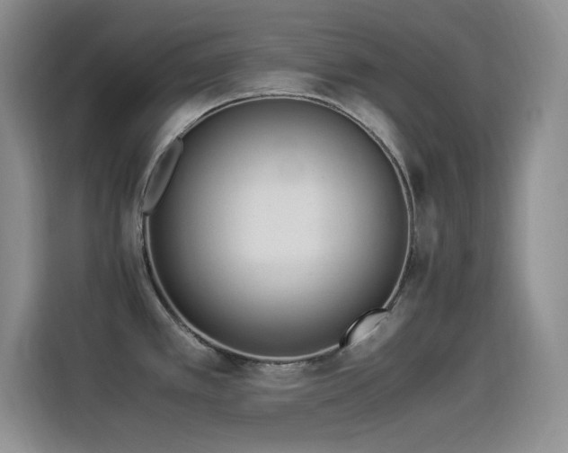 X0000114501389200910191242