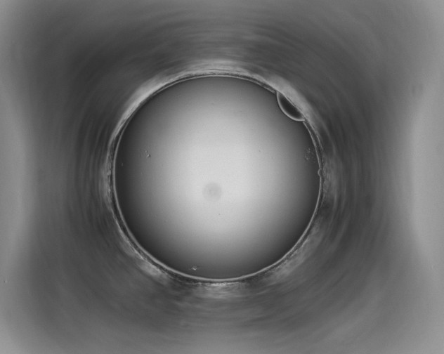 X0000114501390200910191242