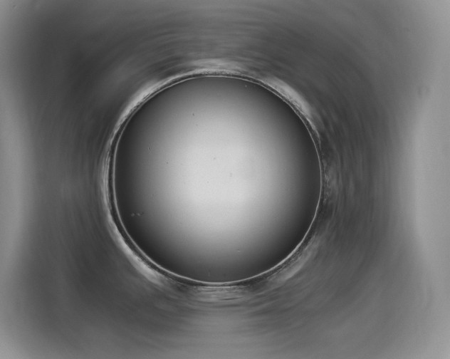 X0000114501391200910191242