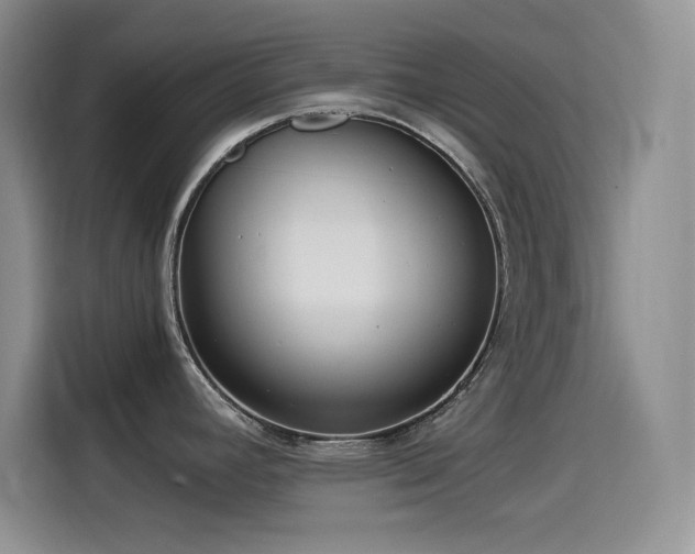 X0000114501392200910191242