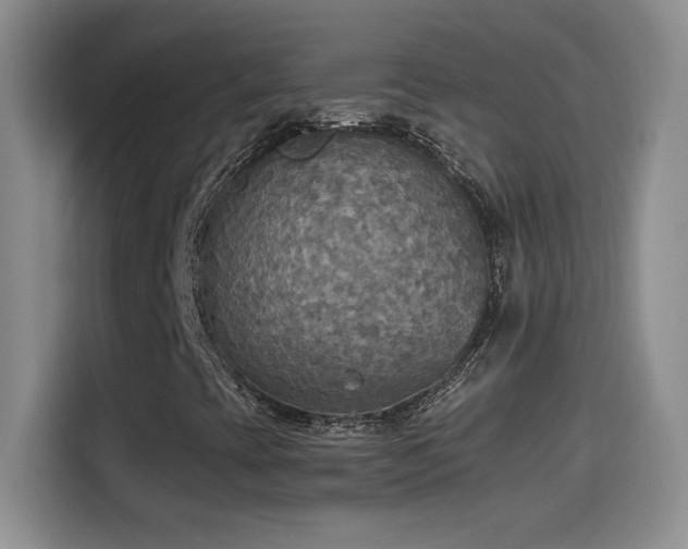 X0000114501393200910191241