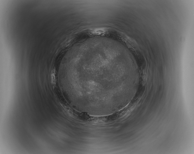 X0000114501394200910191241