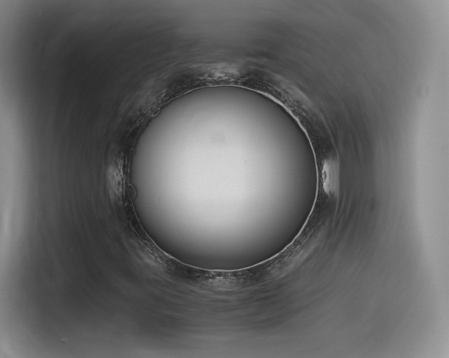 X0000114501395200910191241