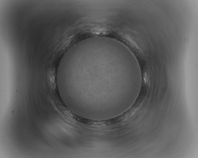 X0000114501396200910191241