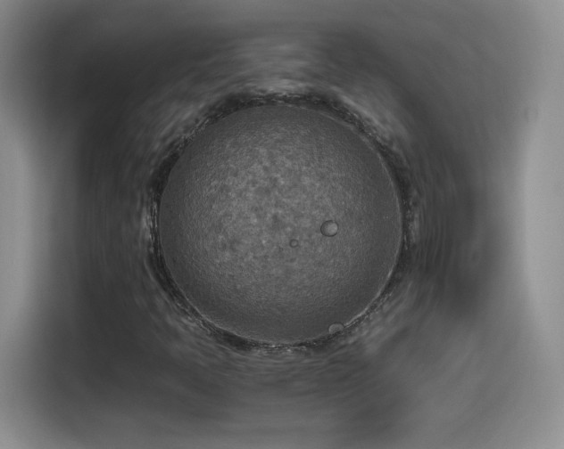 X0000114501397200910191241