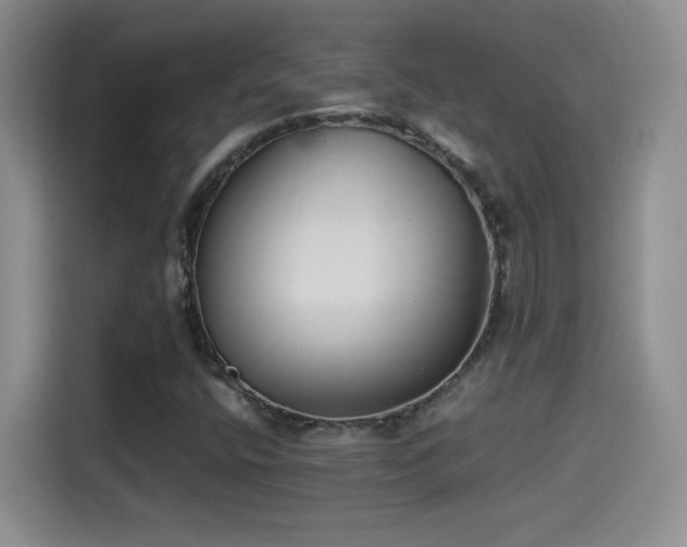 X0000114501400200910191241