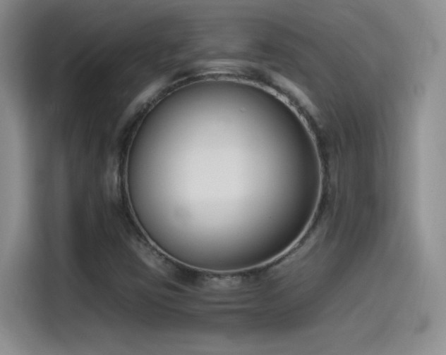 X0000114501403200910191241