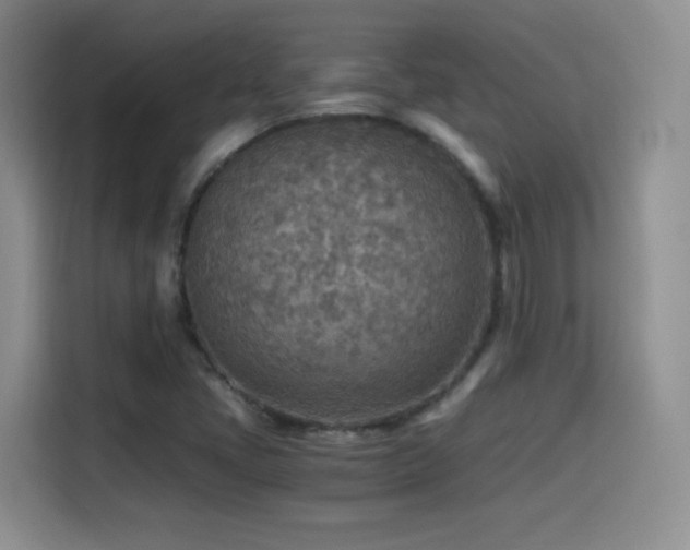X0000114501405200910191241
