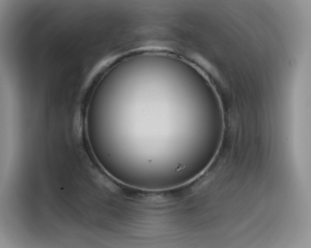X0000114501408200910191242