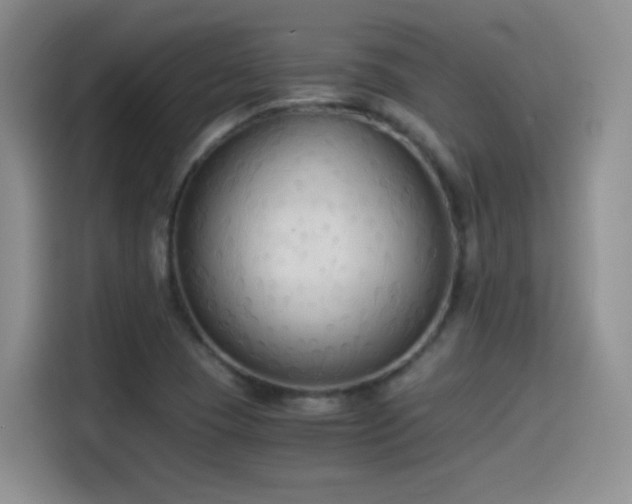 X0000114501409200910191242