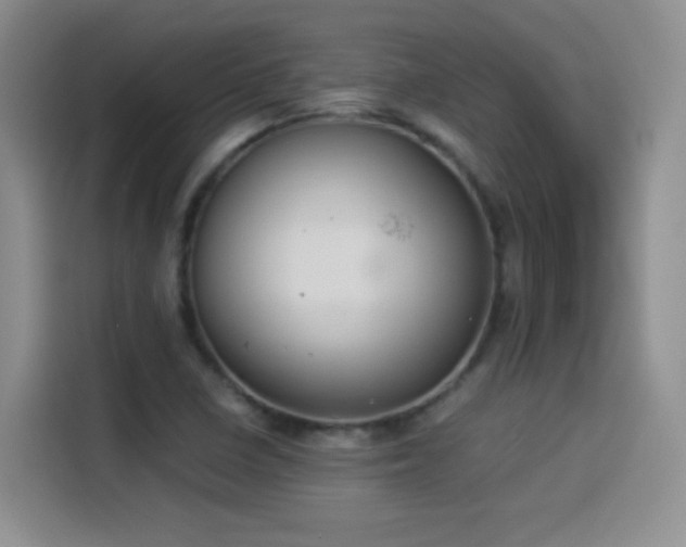 X0000114501410200910191242