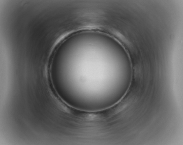 X0000114501412200910191242