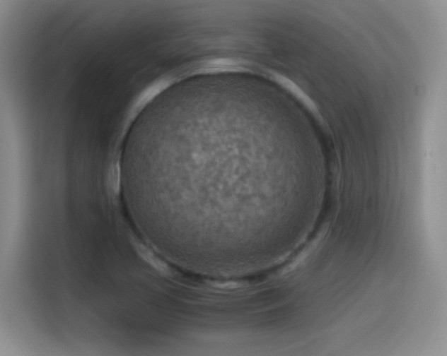 X0000114501413200910191242