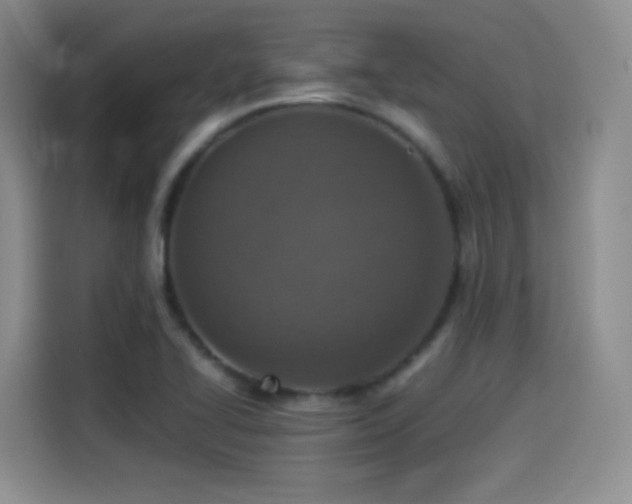 X0000114501414200910191242