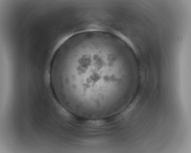 X0000114501415200910191242
