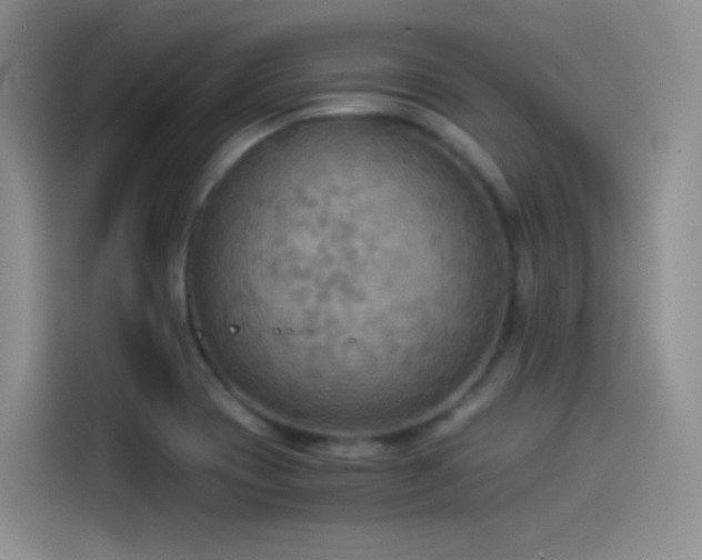 X0000114501417200910191242