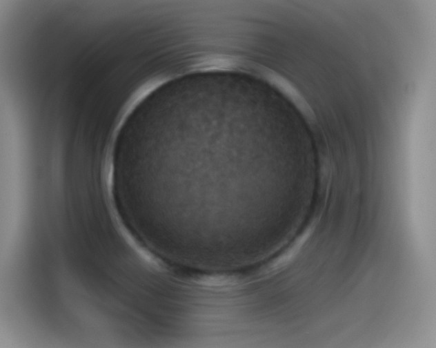X0000114501418200910191242