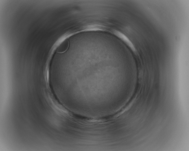 X0000114501419200910191242