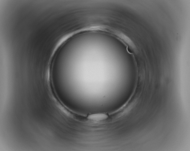 X0000114501420200910191242