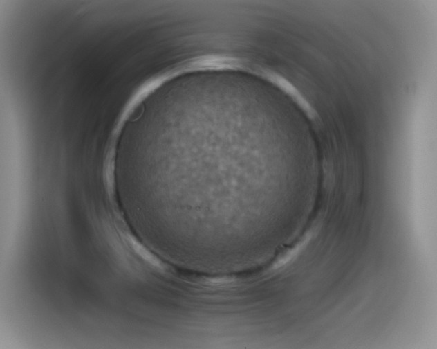 X0000114501421200910191242