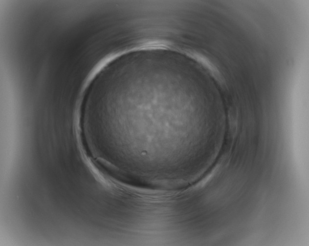 X0000114501422200910191242