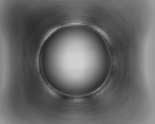 X0000114501423200910191242