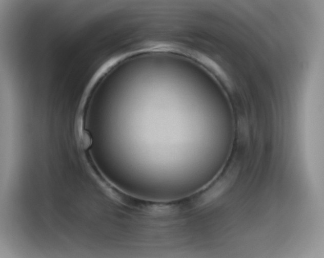 X0000114501424200910191242