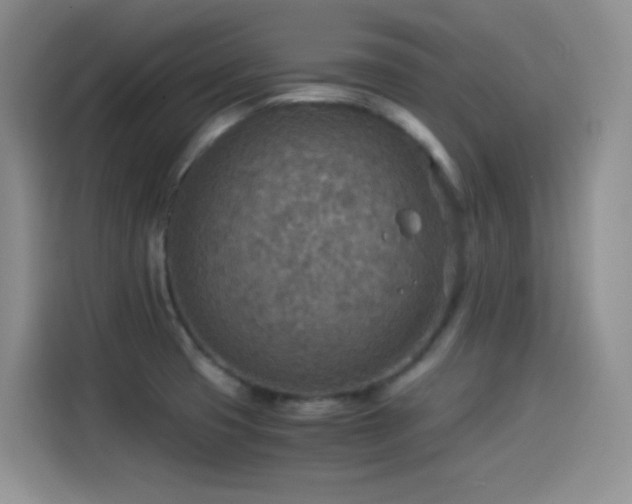 X0000114501425200910191242