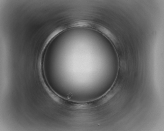 X0000114501426200910191242