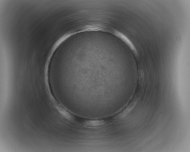 X0000114501427200910191242