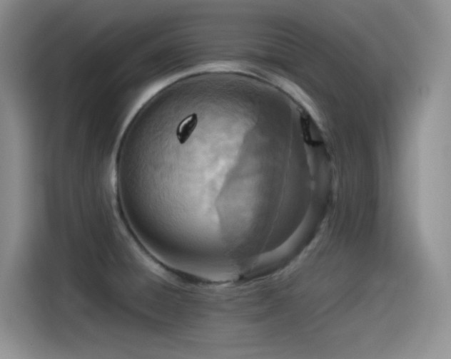 X0000114501428200910191242