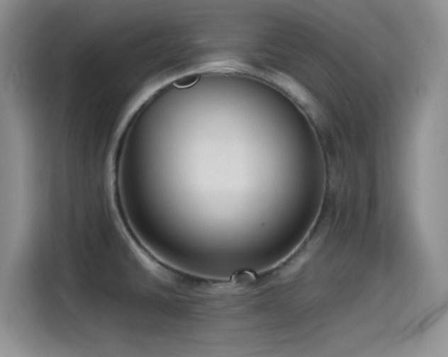 X0000114501430200910191242