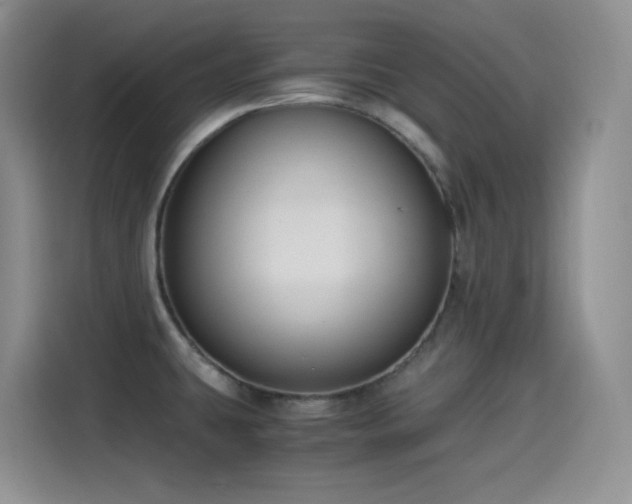X0000114501431200910191242