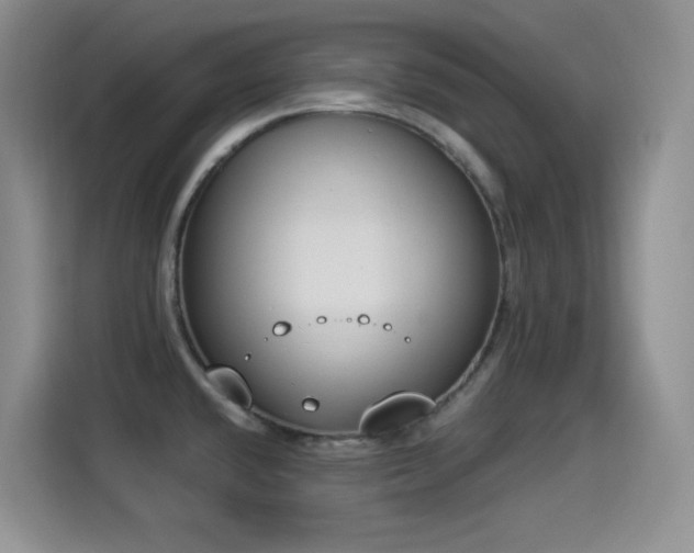 X0000114501432200910191242