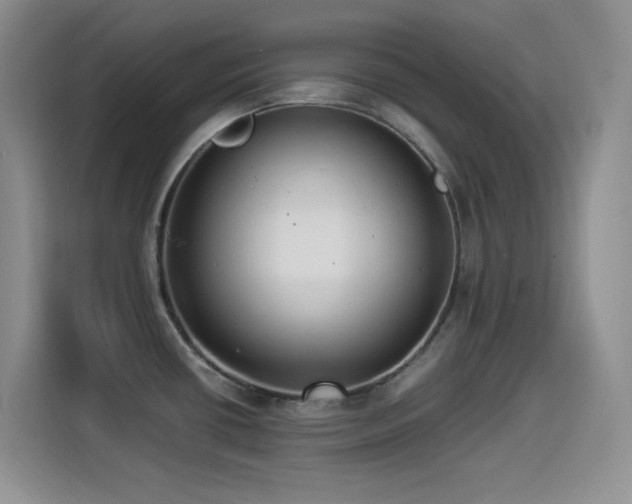 X0000114501434200910191242