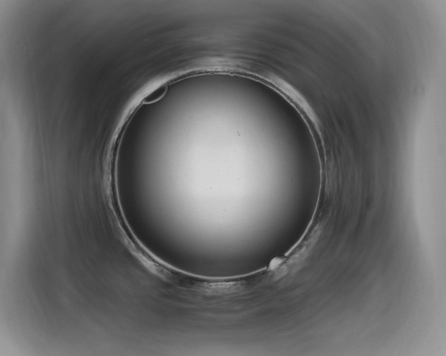 X0000114501437200910191242