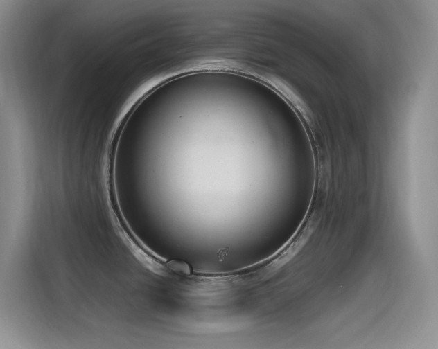X0000114501438200910191242