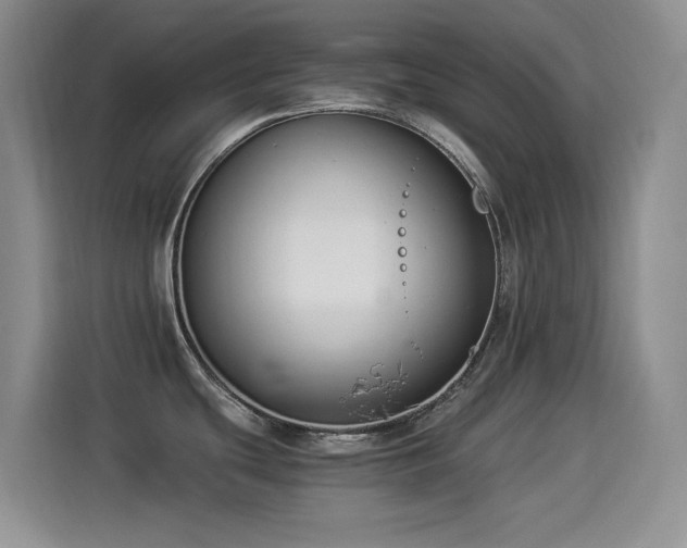 X0000114501439200910191242