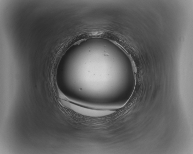 X0000114501441200910191241